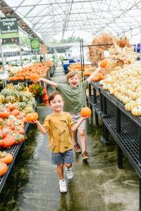 THINGS TO DO IN HOUSTON DURING FALL AND WINTER... - Annie Mescall